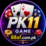 PK11 Game App